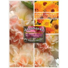 Mandarin Currant Hollyhock Seed Packet + Free Pack Mixed Calendula   